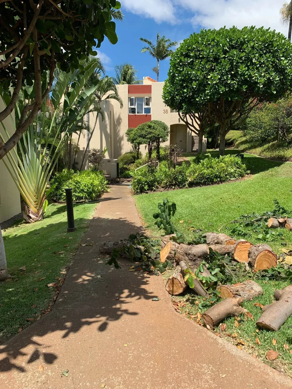 3150 Wailea Alanui Dr 3805, Wailea/Makena