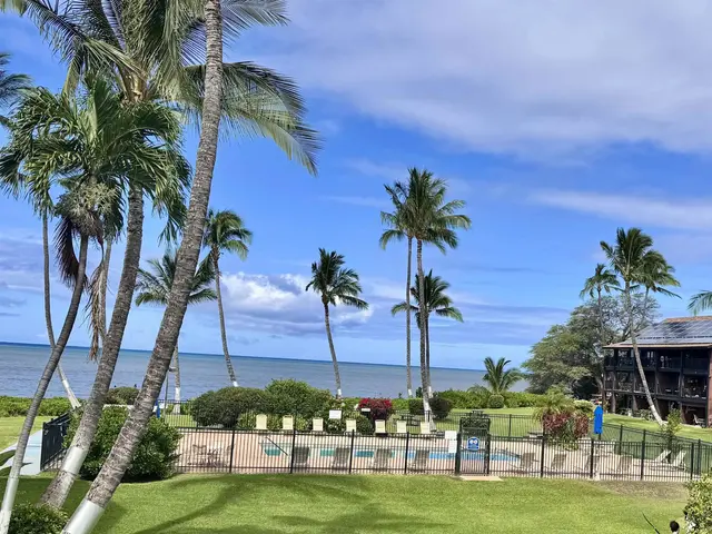 Listing Image for 1000 Kamehameha V Hwy 227b 1 of 18