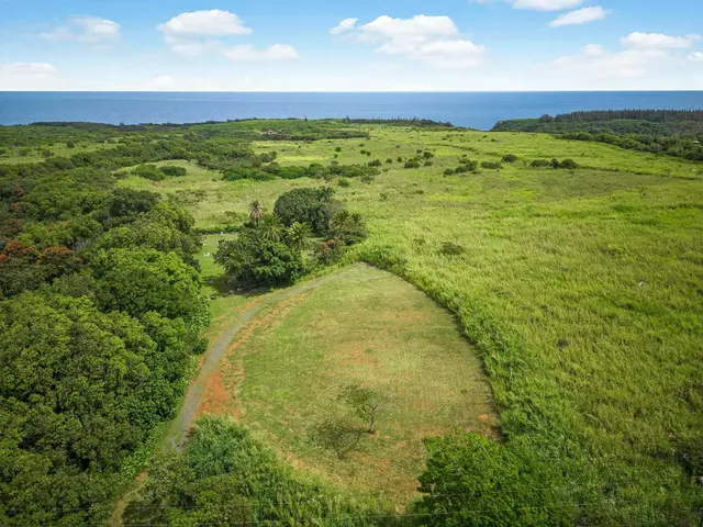 Listing Image for 2767 Unit A Hana Hwy A 8 of 30