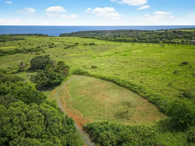 Listing Image for 2767 Unit A Hana Hwy A 9 of 30