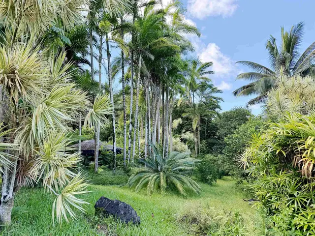 Listing Image for 241 Ulaino Rd 21 of 32