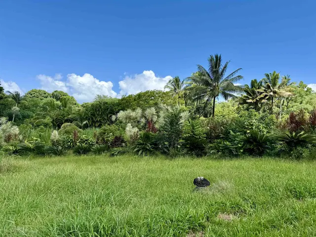 Listing Image for 241 Ulaino Rd 22 of 32