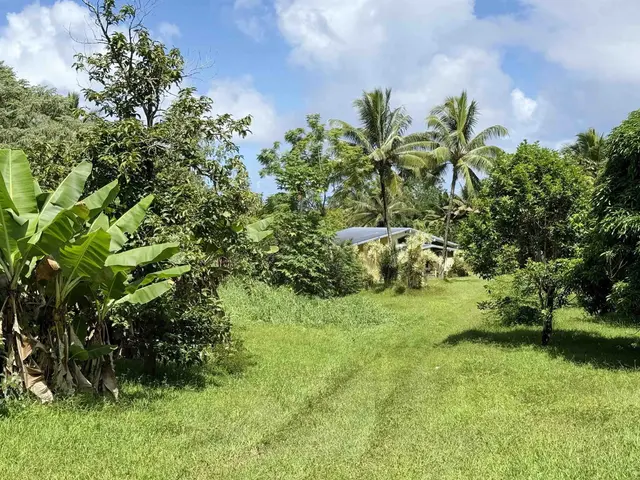 Listing Image for 241 Ulaino Rd 29 of 32