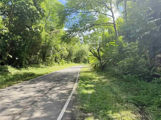 Listing Image for 241 Ulaino Rd 31 of 32