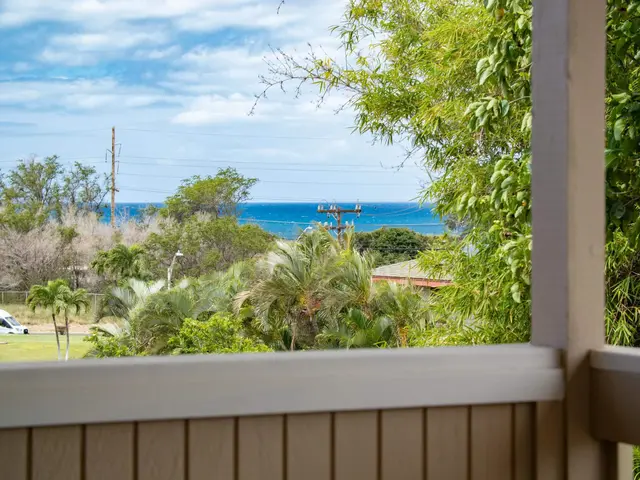 Listing Image for 287 Palanehe St 5 of 36