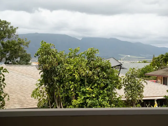 Listing Image for 287 Palanehe St 6 of 36