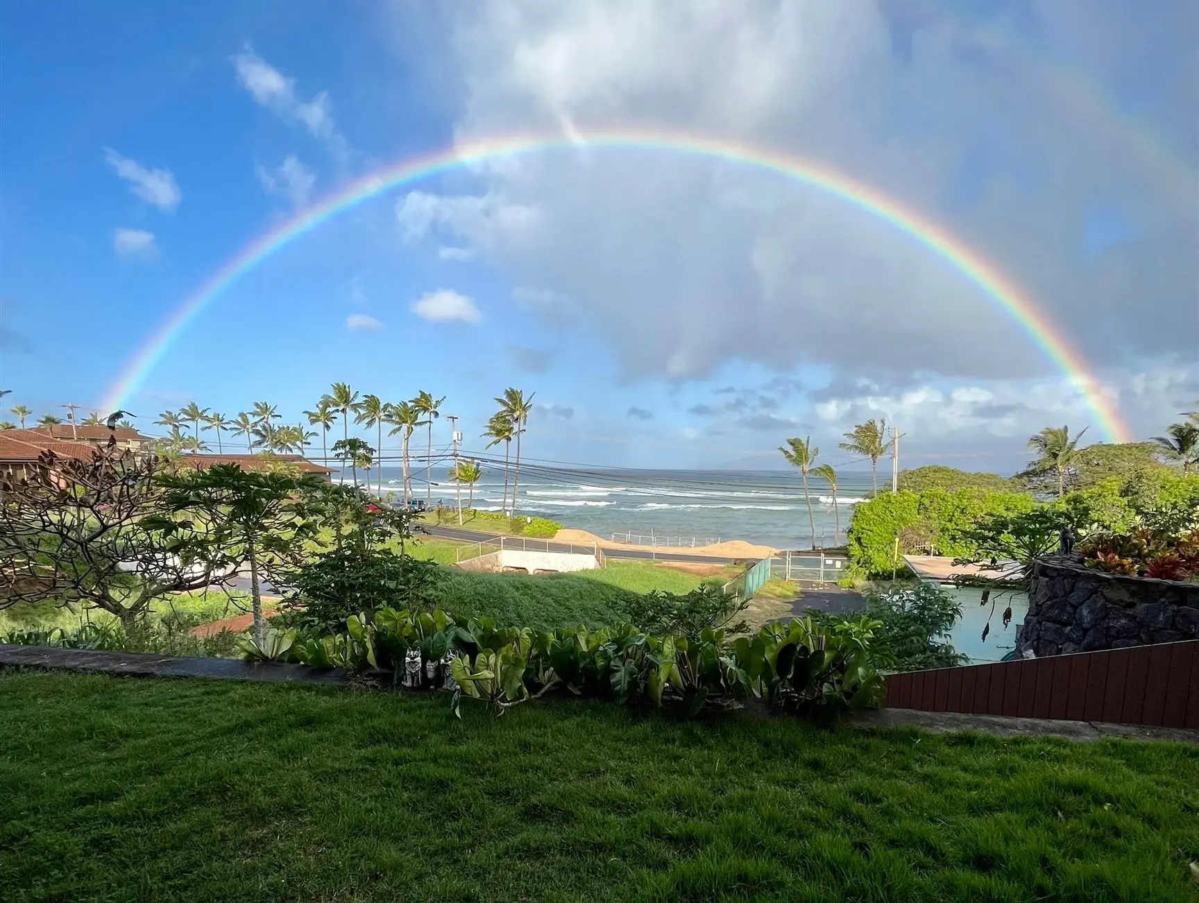 Photo of Listing #409097