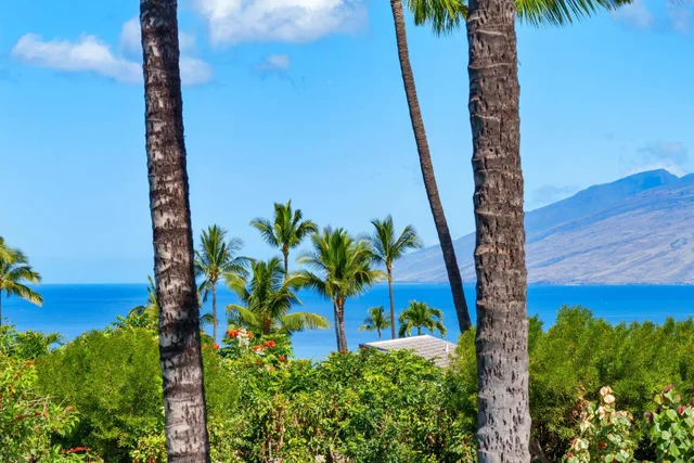 Listing Image for 3950 Kalai Waa St B103 13 of 50