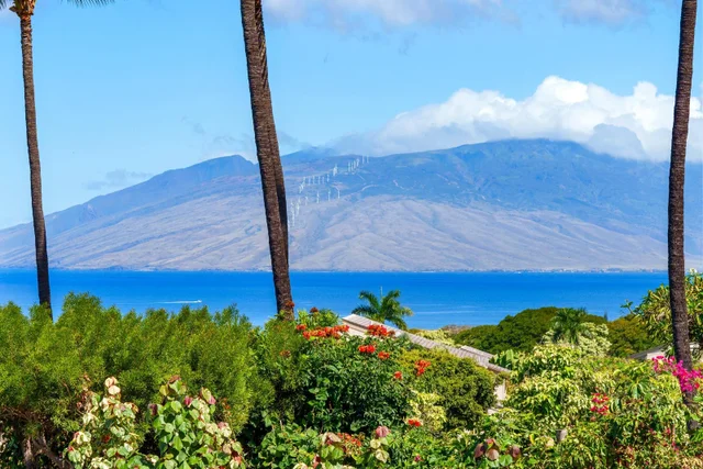 Listing Image for 3950 Kalai Waa St B103 3 of 50