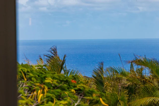 Listing Image for 2576 Alohia Pl 2 of 46