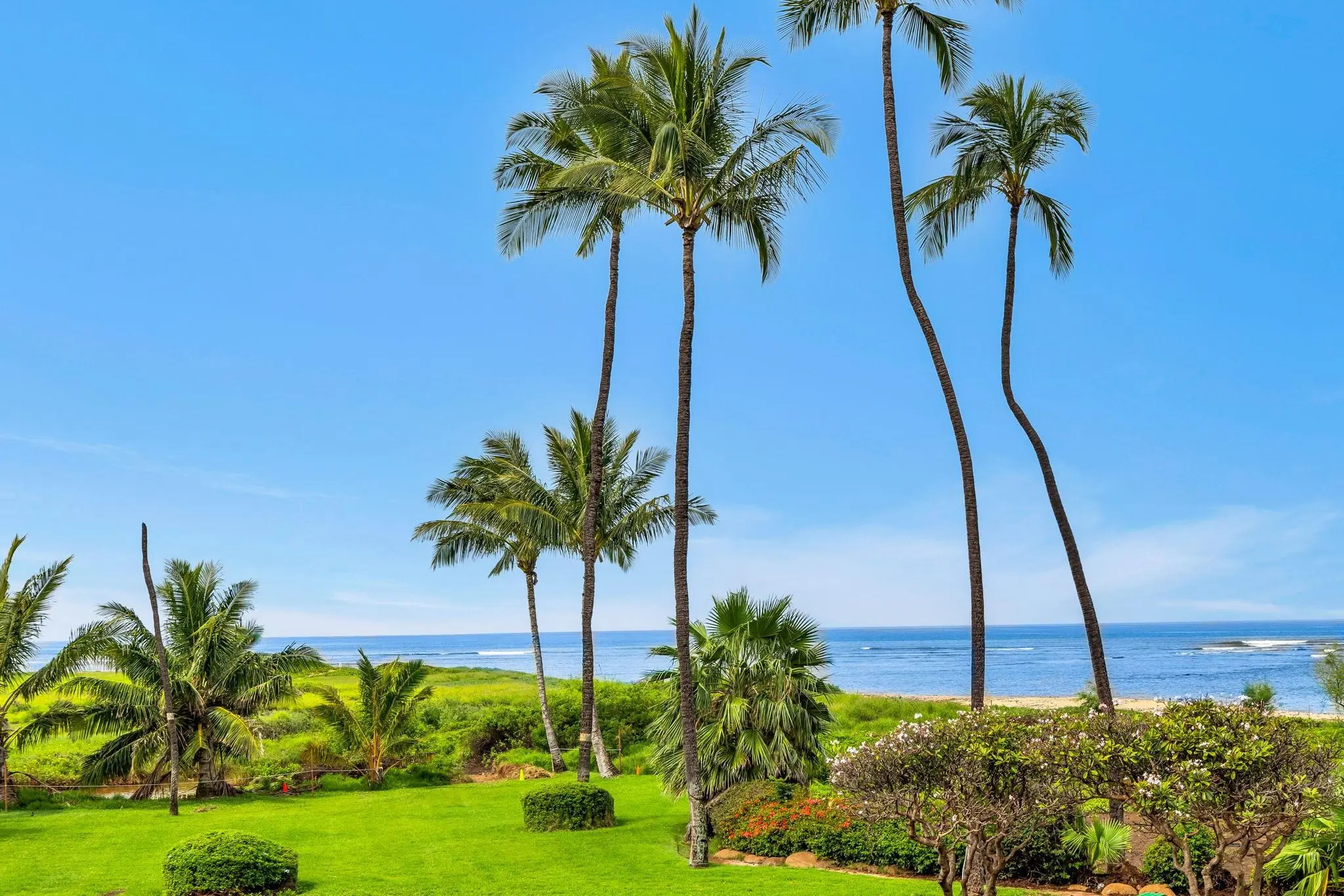 Photo of Listing #409320