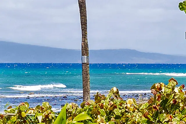 Listing Image for 4521 Lower Honoapiilani Rd 4a2 6 of 47