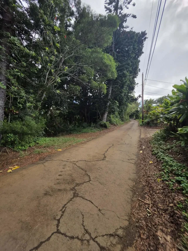 Listing Image for 420 Haumana Rd 15 of 31