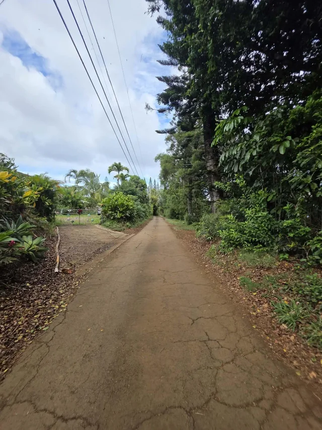Listing Image for 420 Haumana Rd 18 of 31