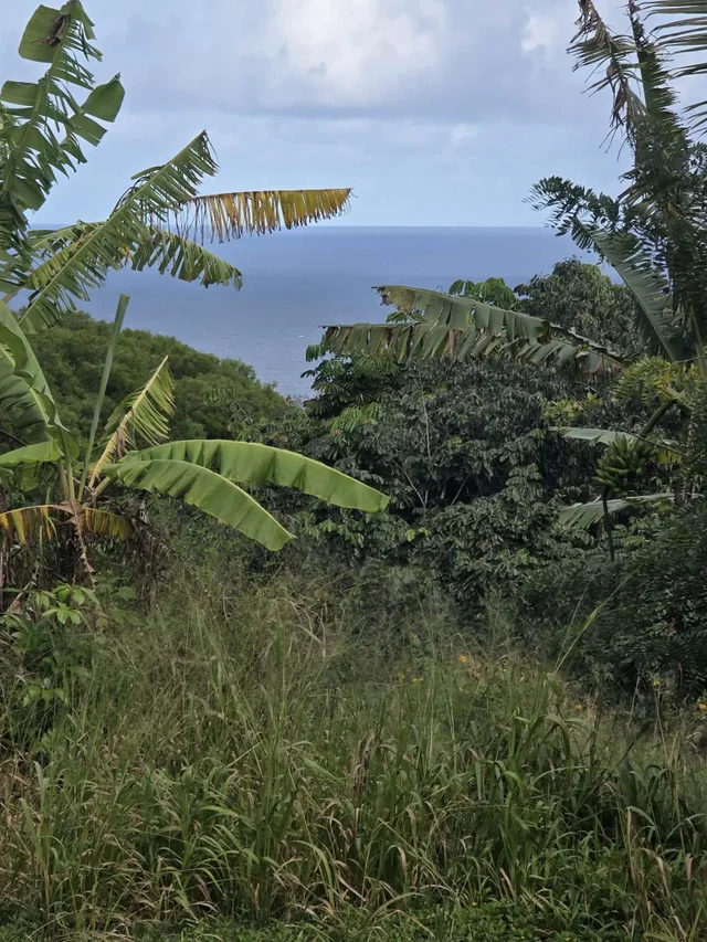 Listing Image for 420 Haumana Rd 19 of 31