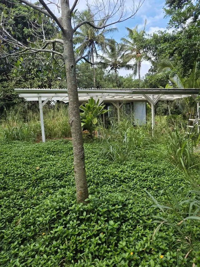 Listing Image for 420 Haumana Rd 2 of 31