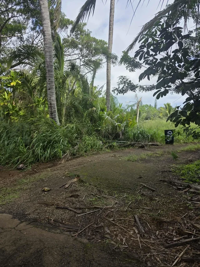 Listing Image for 420 Haumana Rd 22 of 31