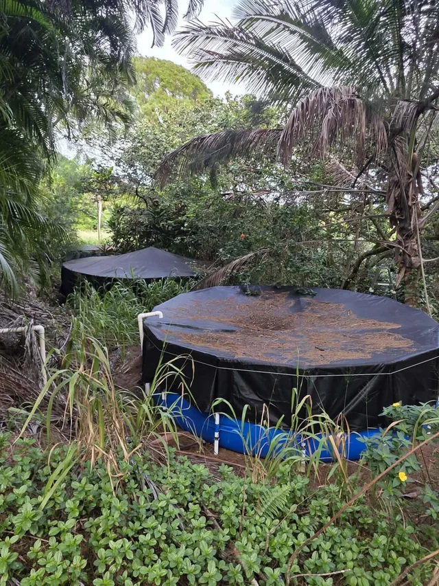 Listing Image for 420 Haumana Rd 25 of 31