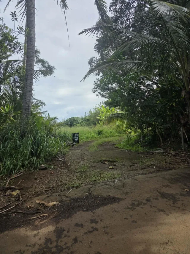 Listing Image for 420 Haumana Rd 28 of 31