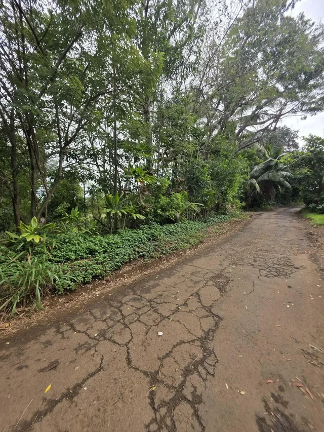 Listing Image for 420 Haumana Rd 3 of 31