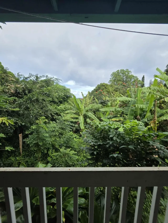 Listing Image for 420 Haumana Rd 30 of 31