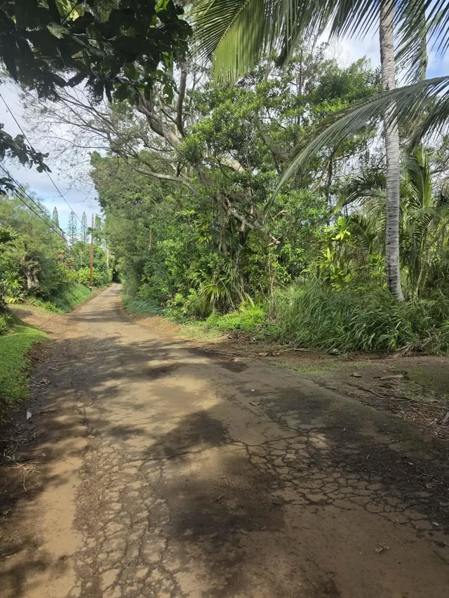 Listing Image for 420 Haumana Rd 8 of 31