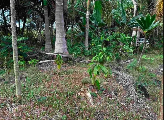 Listing Image for 380 Alalele Pl 12 of 20