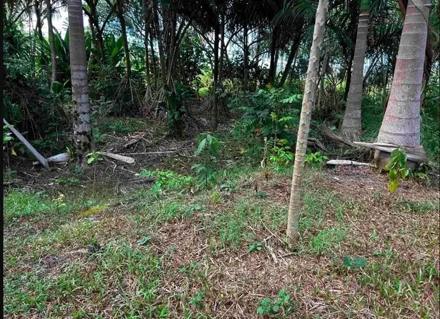 Listing Image for 380 Alalele Pl 13 of 20