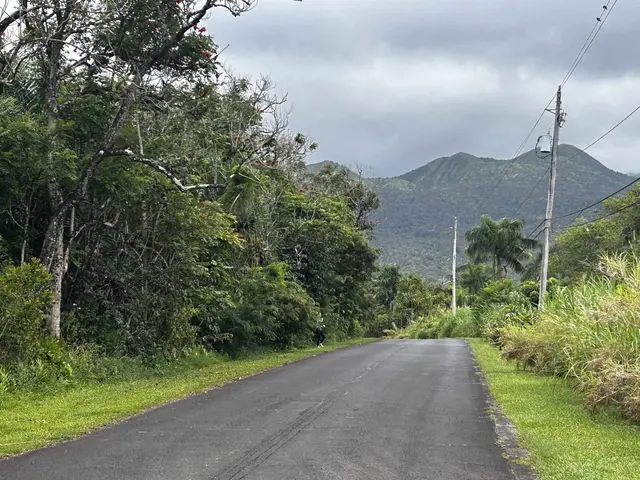 Listing Image for 380 Alalele Pl 16 of 20