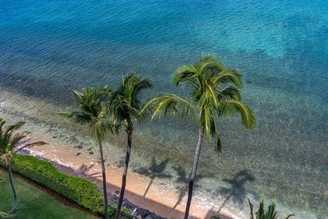 Listing Image for 110 Kaanapali Shores Pl 1006 35 of 48