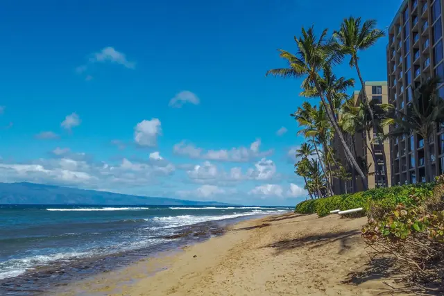 Listing Image for 110 Kaanapali Shores Pl 1006 42 of 48