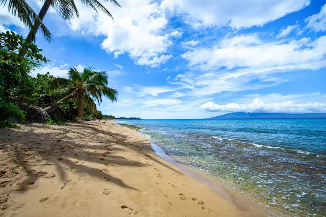 Listing Image for 110 Kaanapali Shores Pl 1006 45 of 48