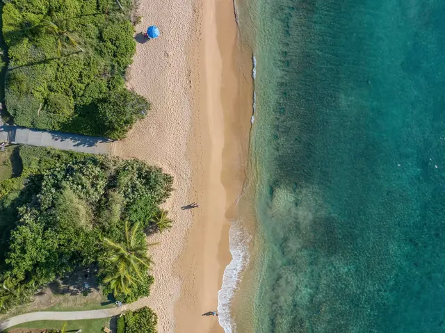 Listing Image for 110 Kaanapali Shores Pl 1006 47 of 48