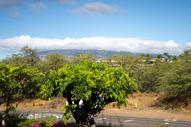 Listing Image for 2695 S Kihei Rd 4-206 26 of 38