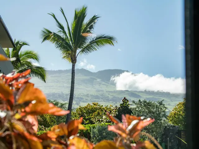 Listing Image for 24 Kai Malu Dr 102 - 3b 36 of 50