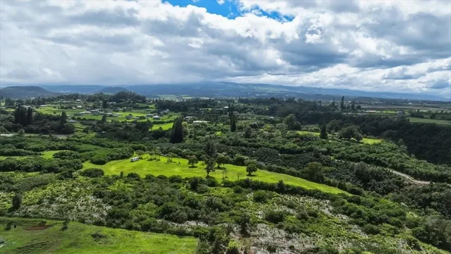 Listing Image for 2278 Lilikoi St 8 of 19