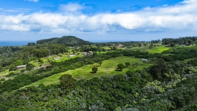 Listing Image for 2278 Lilikoi St 10 of 19