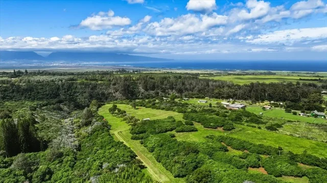 Listing Image for 2278 Lilikoi St 12 of 19