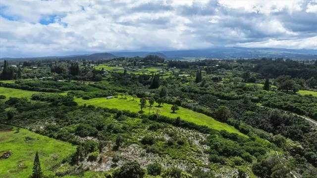 Listing Image for 2278 Lilikoi St 13 of 19