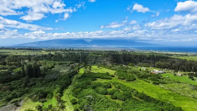 Listing Image for 2278 Lilikoi St 14 of 19