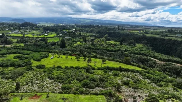 Listing Image for 2278 Lilikoi St 15 of 19