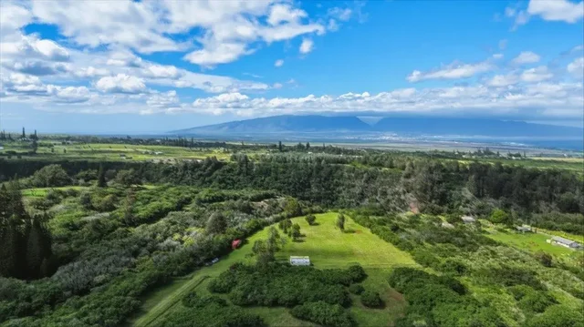 Listing Image for 2278 Lilikoi St 16 of 19