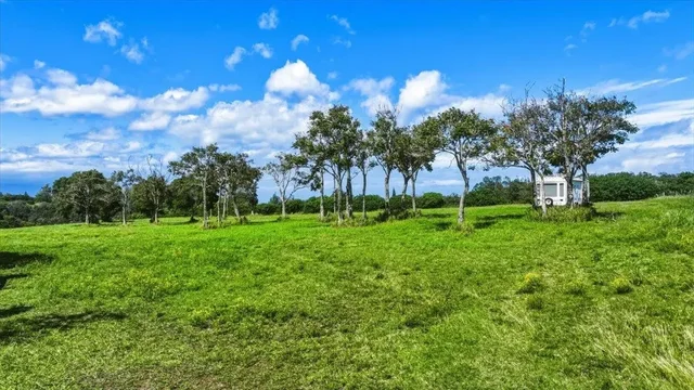 Listing Image for 2278 Lilikoi St 2 of 19