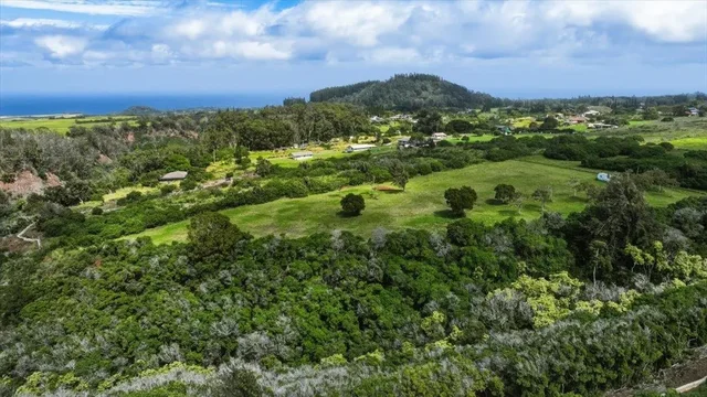 Listing Image for 2278 Lilikoi St 17 of 19