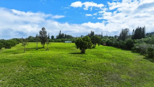 Listing Image for 2278 Lilikoi St 3 of 19