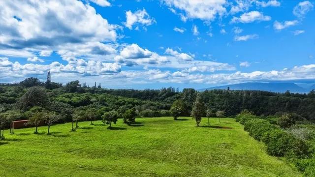 Listing Image for 2278 Lilikoi St 6 of 19