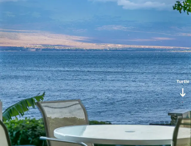 Listing Image for 50 Hauoli St 106 21 of 24