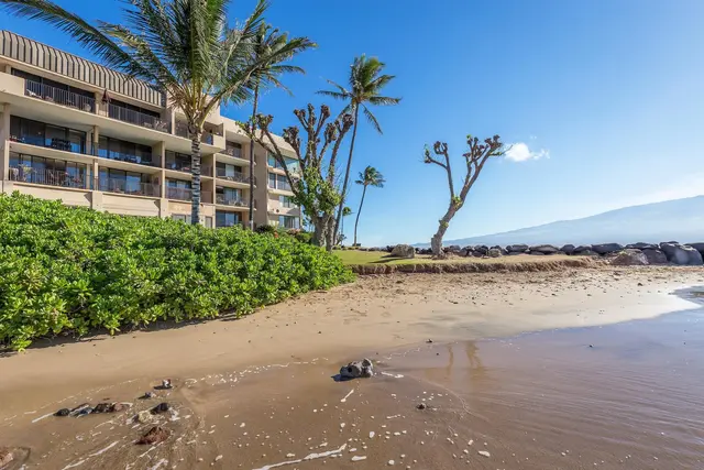 Listing Image for 50 Hauoli St 106 24 of 24
