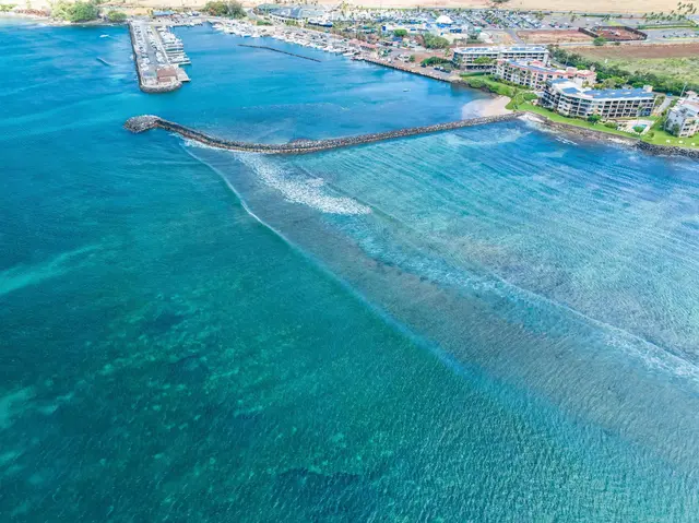 Listing Image for 50 Hauoli St 106 6 of 24