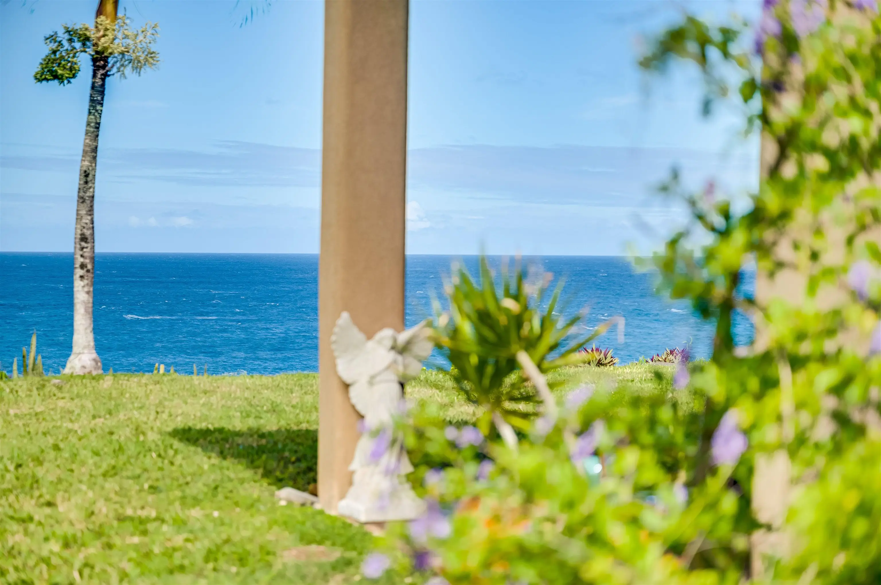 Photo of Listing #407953